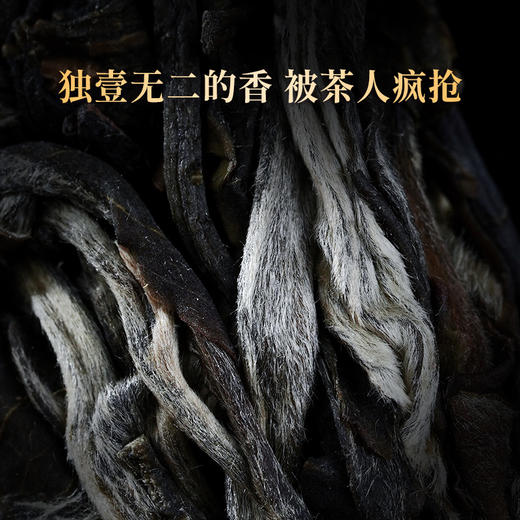 【墨江凤凰窝】独特的马汉清香让无数茶友为之向往，云南普洱茶茶饼生茶357克 商品图2