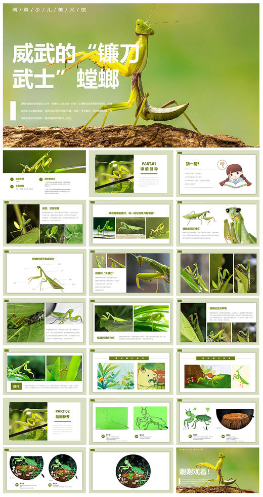 《威武的“镰刀武士”——螳螂》自动发货：下单后，点击手机短信中收到的链接，即可获取文件下载的链接；如有任何问题，可添加客服微信hm33268获得帮助。 商品图1