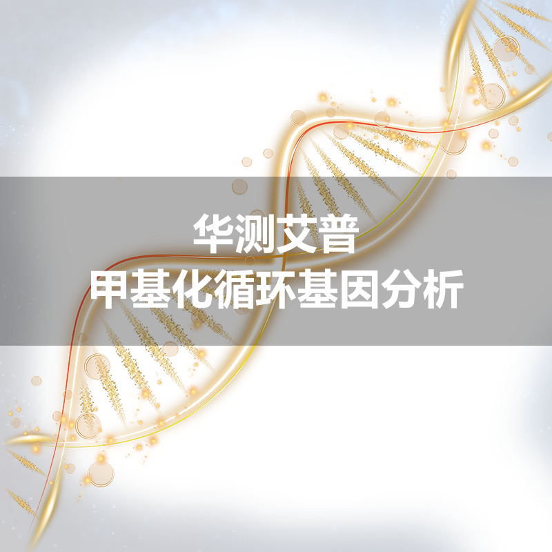 上海华测艾普  甲基化循环基因分析1439