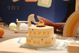 10磅定制款大蛋糕丨蛋糕面可更改