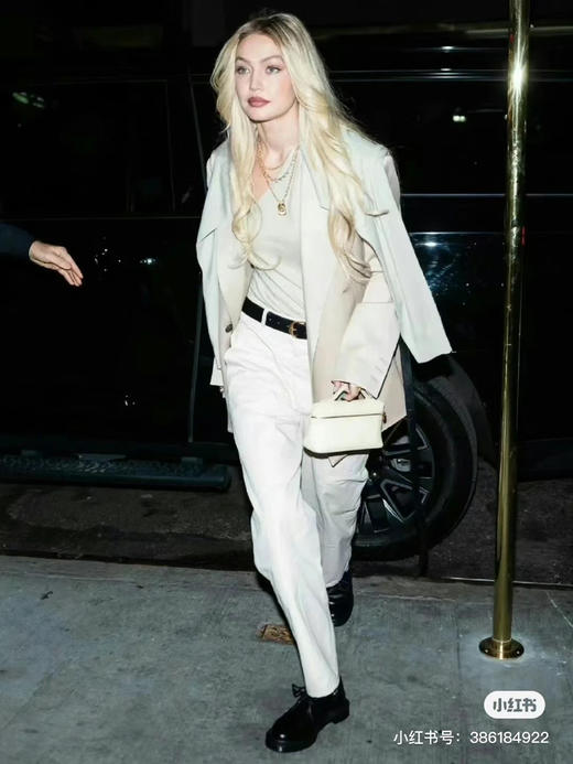 升级二代 原版皮 全钢五金 静奢 LP19饭盒包 便当包 手提单肩斜挎包 商品图7