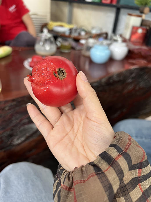 阿林丑番茄 商品图6