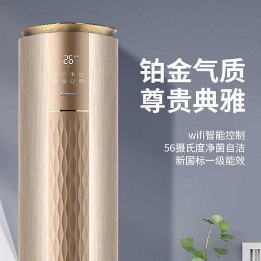 【拍定金享绿色节能补贴  云闪付到手价8499元】格力i铂系列 新一级变频冷暖家用客厅立式柜机 WiFi智控 高温净菌自洁 宽域自动扫风 2匹 商品图1