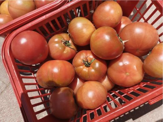 旮旯柿子一筐（拼团） 商品图3