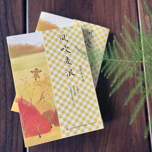 《风吹麦浪》散文集，由20篇散文组成，金黄的麦田，卖水的阿婆，编席打鱼的运河人家，远去的亲人，治愈了整个童年的胭脂花，让人穿越过往，一行行文字像清澈的运河流水，意境虚实得兼，如梦如幻，缱绻了读者的心田 商品图1