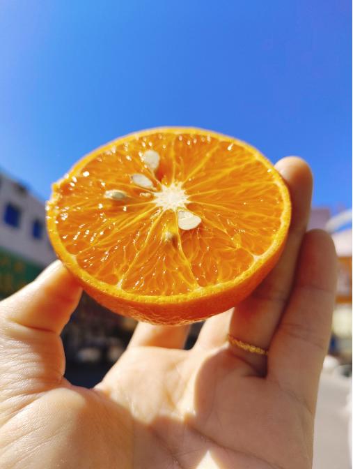 茂谷柑一箱（拼团） 商品图4