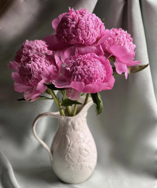 【爱你如初】芍药 - 蓝富士 桃粉色 10枝/扎 商品图1