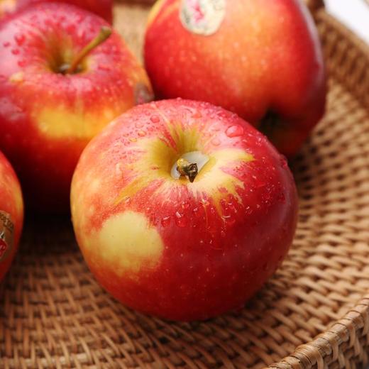 新西兰超级星星苹果16个装2.4kg以上 商品图3