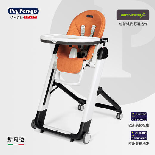 意大利Peg-Perego帕利高 Siesta豪华型高脚餐椅 宝宝餐椅多功能可折叠婴儿家用学坐椅子0-3岁 商品图5
