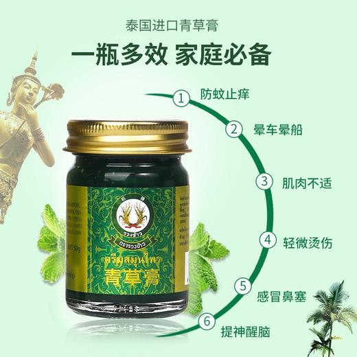 泰国稻穗青草膏50g/112440 止痒消包秘制草本配方植物防叮 商品图3
