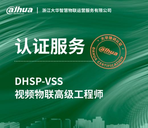 DHSP-VSS视频物联高级工程师认证考试服务 商品图0
