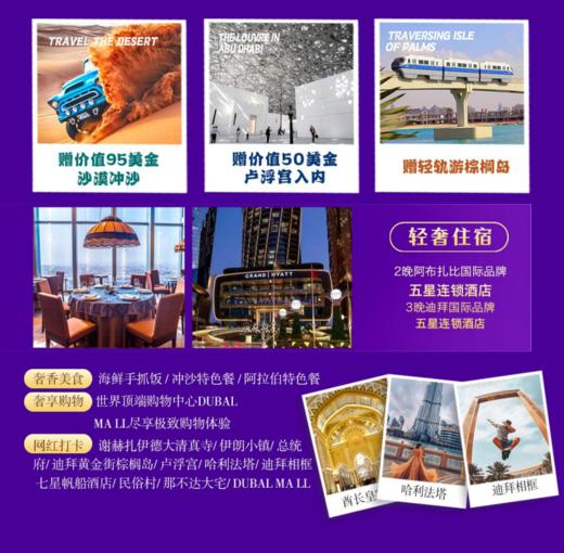 🇦🇪迪拜5晚7天！6月2日出发   已成团 全程国际品牌连锁五星 商品图1