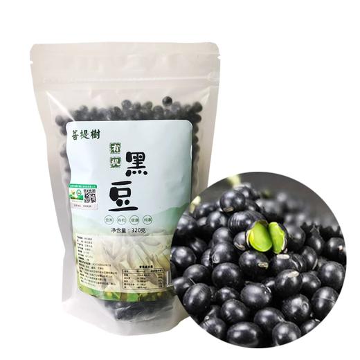 菩提树有机黑豆绿蕊醋泡黑豆浆粗粮早餐粥青仁非即食干货320g 商品图0