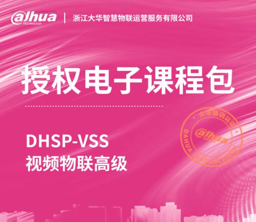 DHSP-VSS视频物联高级授权电子课程包 商品图0
