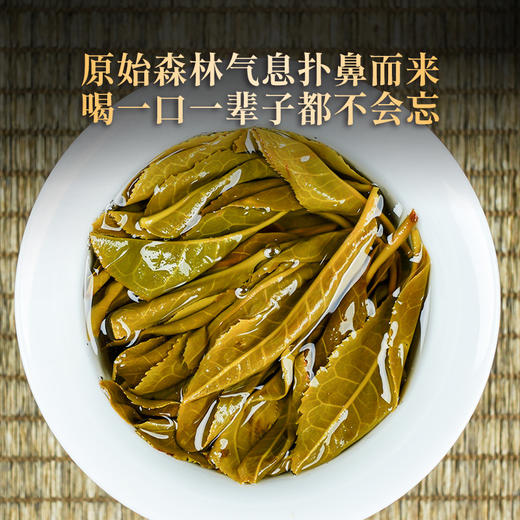 【墨江凤凰窝】独特的马汉清香让无数茶友为之向往，云南普洱茶茶饼生茶357克 商品图4