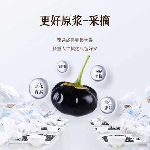 400ml黑枸杞原浆 商品图1