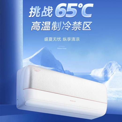 【拍定金享绿色节能补贴 云闪付到手价3599元】格力空调新款冷静王+ 新一级能效变频冷暖挂机空调 WiFi智控 静音运行 冷酷外机 大1匹 商品图6