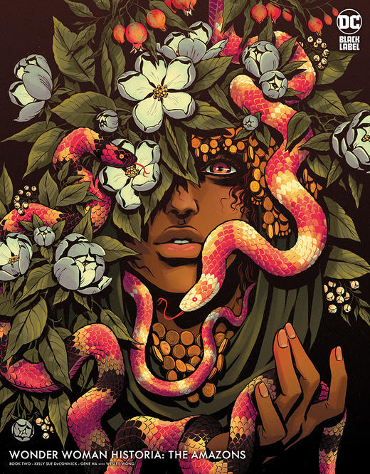 神奇女侠史：亚马逊族 Wonder Woman Historia The Amazons 商品图3