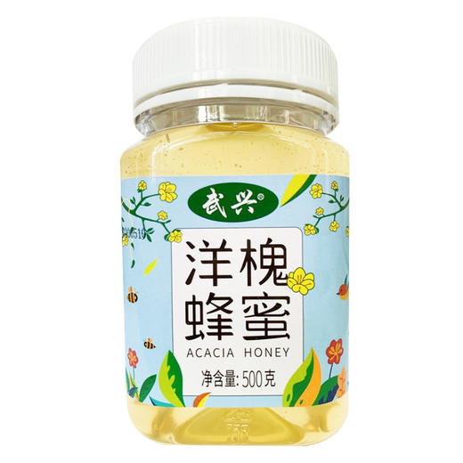 【助农】江城百臻武兴洋槐蜂蜜500g 商品图0