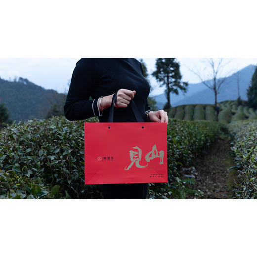 【花香清火】桃渊茗 见山 一级大红袍 武夷岩茶 240g/盒 礼盒装 商品图4
