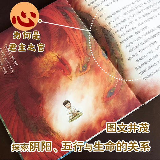 医境探秘精装4册：给孩子看的中医哲理故事书，助力中小学中医药传统文化普及教育《天地四时》《阴阳五行》《方外有境》《万物有情》四册 商品图5