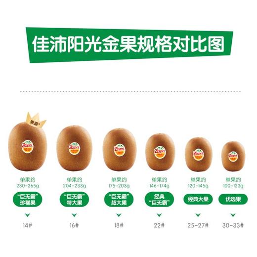 佳沛新西兰金奇异果6粒-600-720g 商品图2