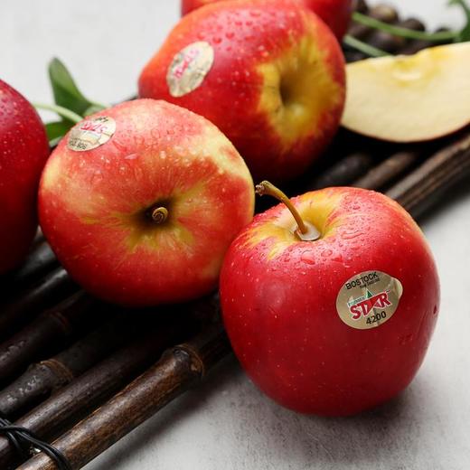 新西兰超级星星苹果16个装2.4kg以上 商品图4