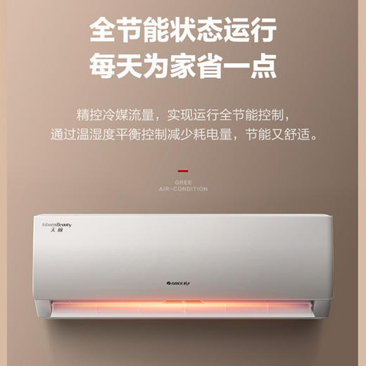 【拍定金享绿色节能补贴 云闪付到手价2699元】格力天丽变频一级能效 高温自清洁 家用除湿卧室节能省电挂壁空调 大1.5匹 商品图5