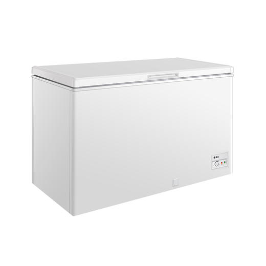 晶弘·冰柜 单温转换柜 310L  BC/BD-310D/磨砂白 商品图1