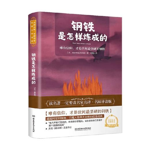 钢铁是怎样炼成的 奥斯特洛夫斯基 著 中小学教辅 商品图1