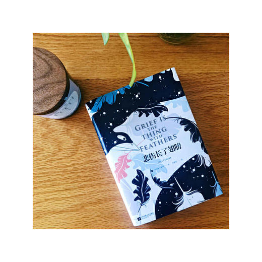 悲伤长了翅膀 商品图2