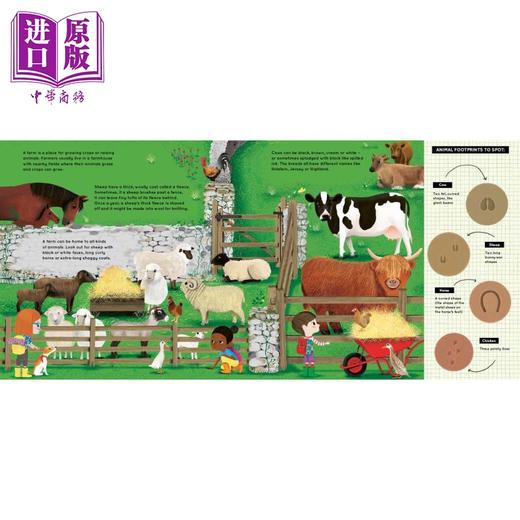 【中商原版】Look What I Found 大自然动植物故事绘本3册套装 Woods森林 Farm农场 Seaside海边 英文原版 进口图书 儿童绘本 商品图2