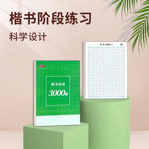 常用3000字通用版楷书入门基础练习硬笔练字帖初学者从控笔到笔画偏旁在练习常用3000字硬笔书法用纸 商品图0