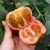 【包邮】农家水果番茄  西红柿味浓  汁多皮脆  口感酸甜  水果西红柿  3斤 商品缩略图2