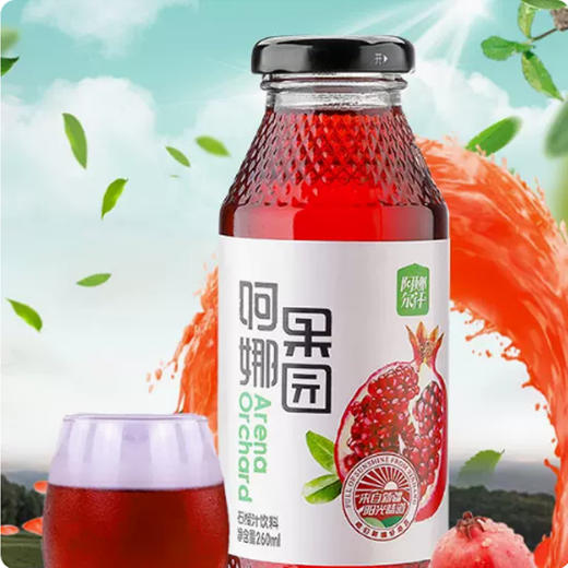 阿娜尔汗阿娜果园系列石榴汁饮料【260ml】 商品图0