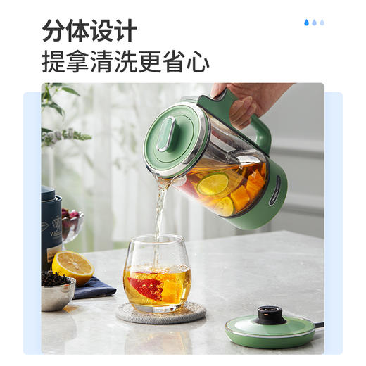 摩飞mini养生壶办公室小型煮茶器多功能养生杯MR6085 商品图2