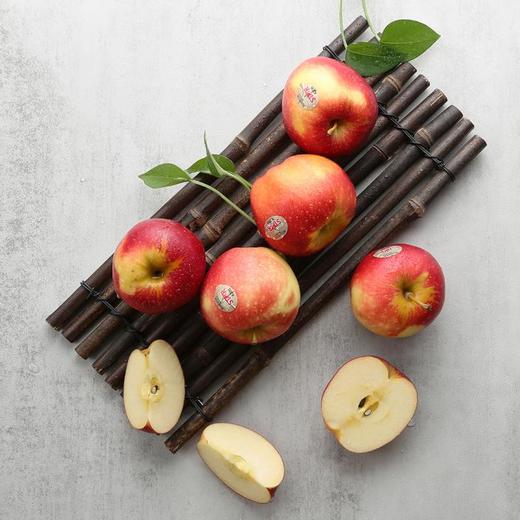 新西兰超级星星苹果16个装2.4kg以上 商品图6