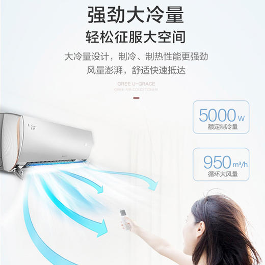【拍定金享绿色节能补贴 云闪付到手价5999元】格力U雅 变频新一级大匹数冷暖壁挂式空调挂机 WiFi智控客厅商铺推荐大风量 2匹 商品图3