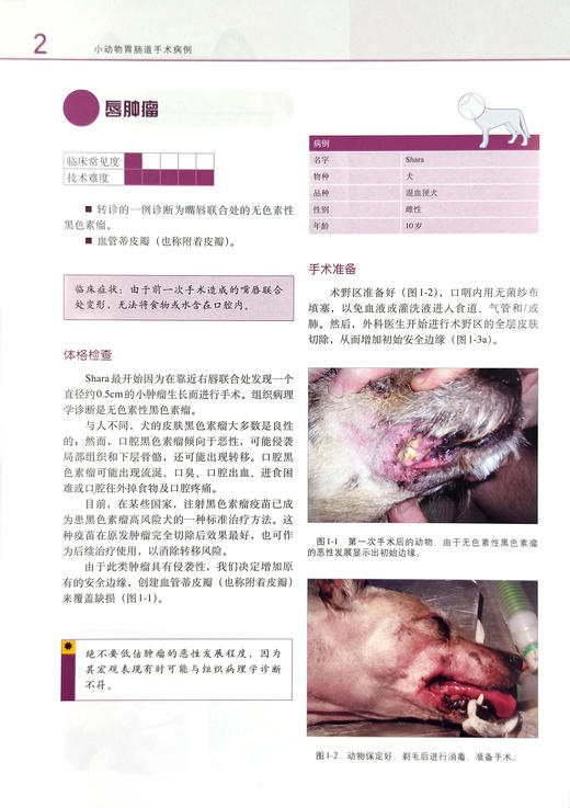 小动物胃肠道手术病例（世界兽医经典著作译丛▪小动物外科系列） 商品图1