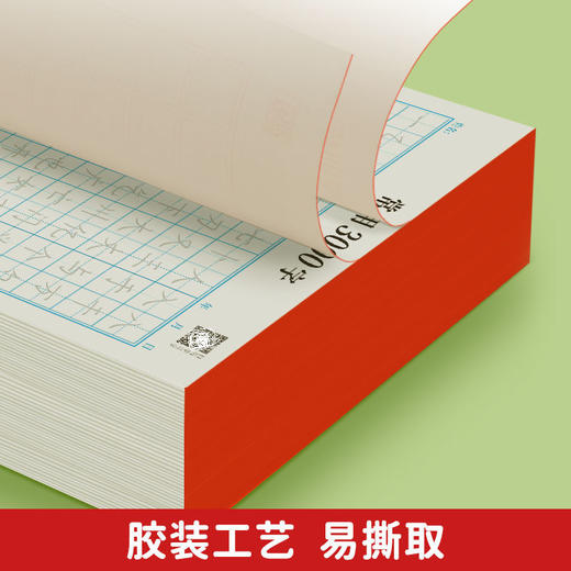 常用3000字通用版楷书入门基础练习硬笔练字帖初学者从控笔到笔画偏旁在练习常用3000字硬笔书法用纸 商品图5