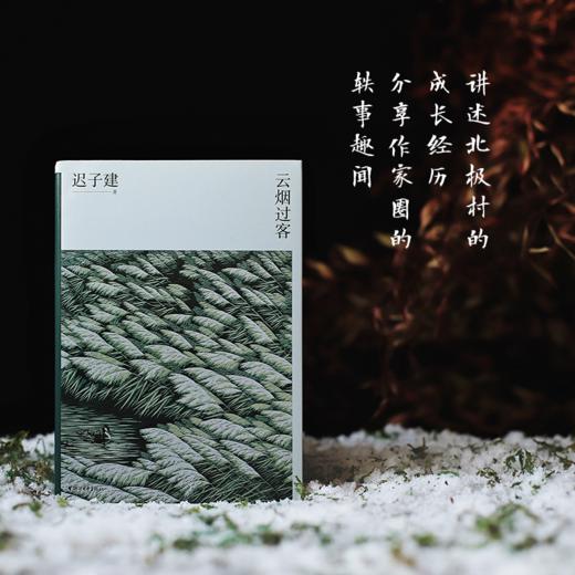 迟子建散文典藏 商品图8