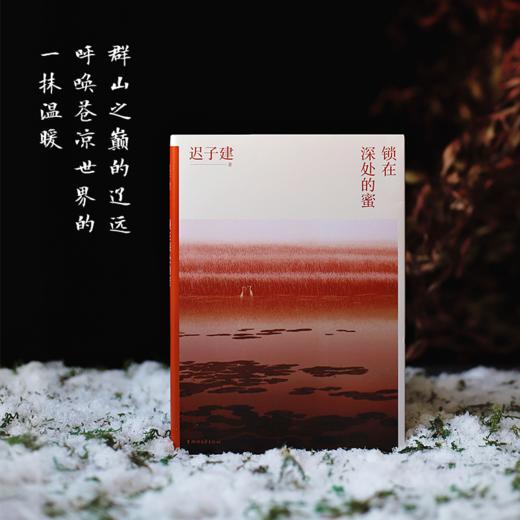 迟子建散文典藏 商品图6