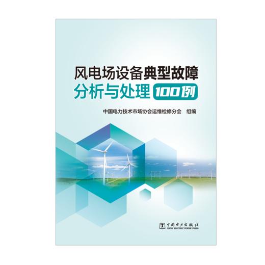 风电场设备典型故障分析与处理100例 商品图1