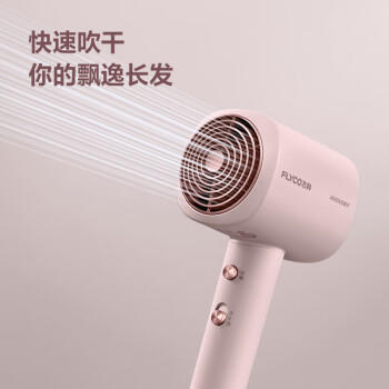 飞科负离子电吹风FH6356 商品图2