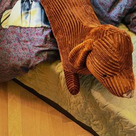 [屁侠推荐]平直堂·艾绒逐湿寒养身床垫  纯艾绒填充（拍一赠2枕头，赠品分开发货，约3-5天发出）