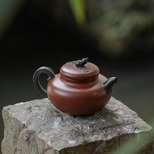 龙德堂陶艺 徐飞制 《紫瓠》原矿底槽清 290cc 库存请咨询客服 商品图3