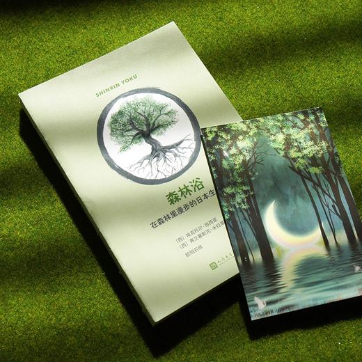 森林浴：在森林里漫步的日本生活艺术 商品图3