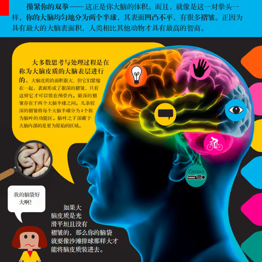 《有趣的学习》（全10册） 商品图4