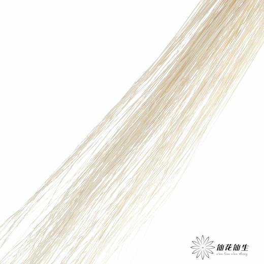 永生花材 | 龙须草白色 商品图1