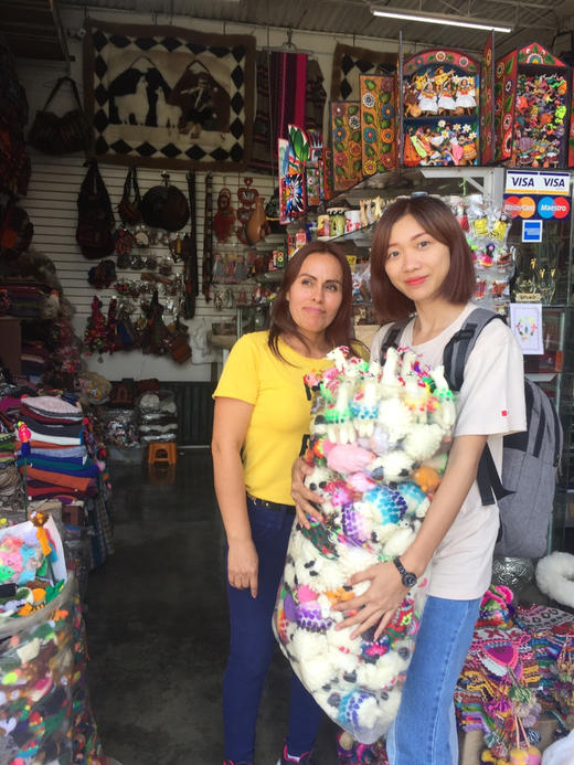 May从南美✈️带回来的秘鲁羊驼（买回2.5美金） 商品图1